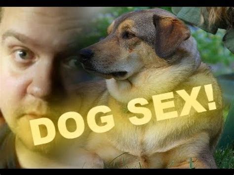 dog,sex|Dog sex